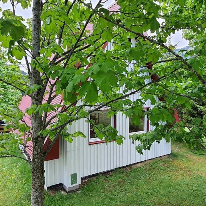 Vila Sarigora Zabljak  Exterior photo