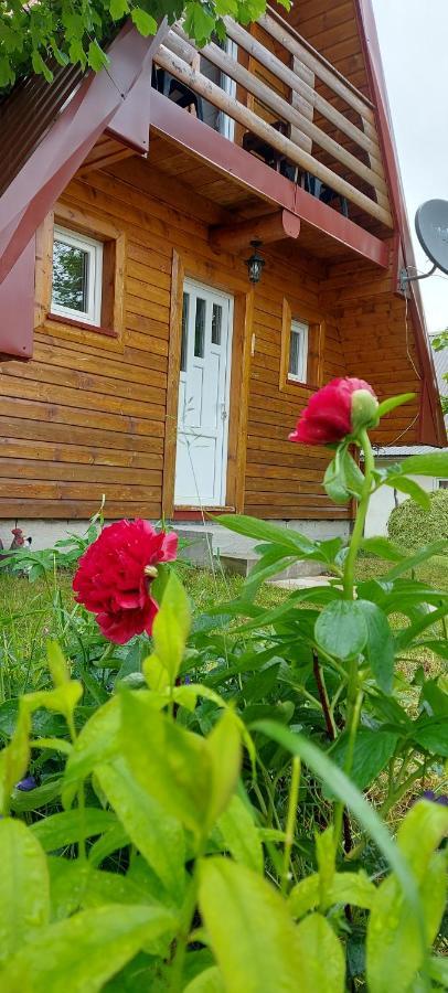 Vila Sarigora Zabljak  Exterior photo
